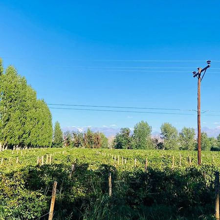 Finca Tierra Calma Casa 1 바레알 외부 사진