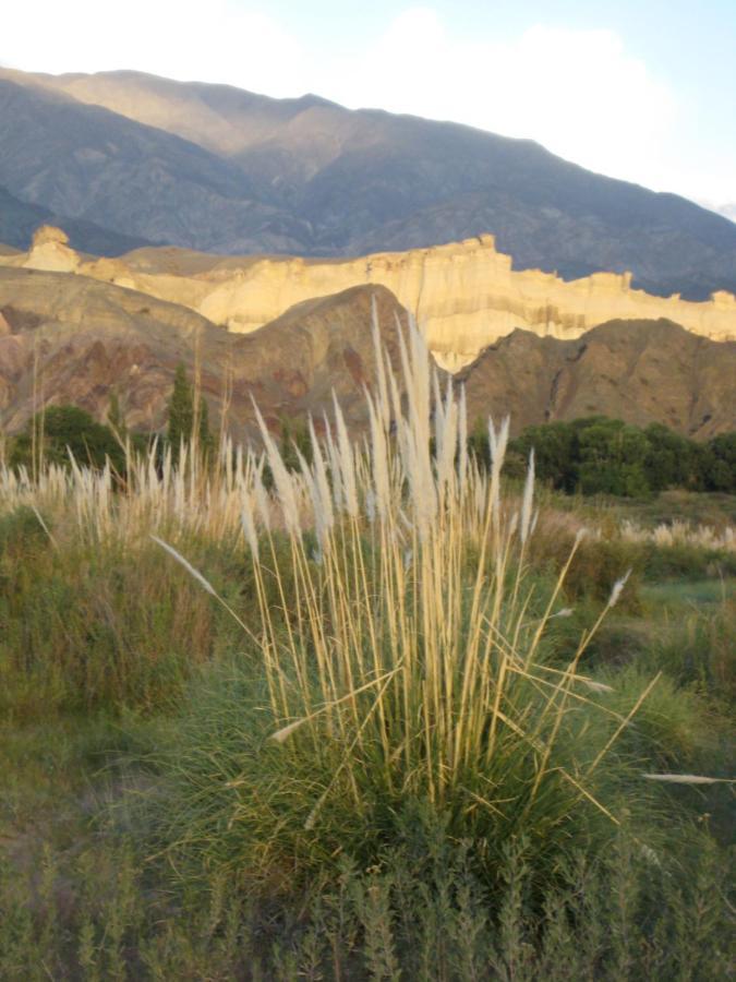 Finca Tierra Calma Casa 1 바레알 외부 사진